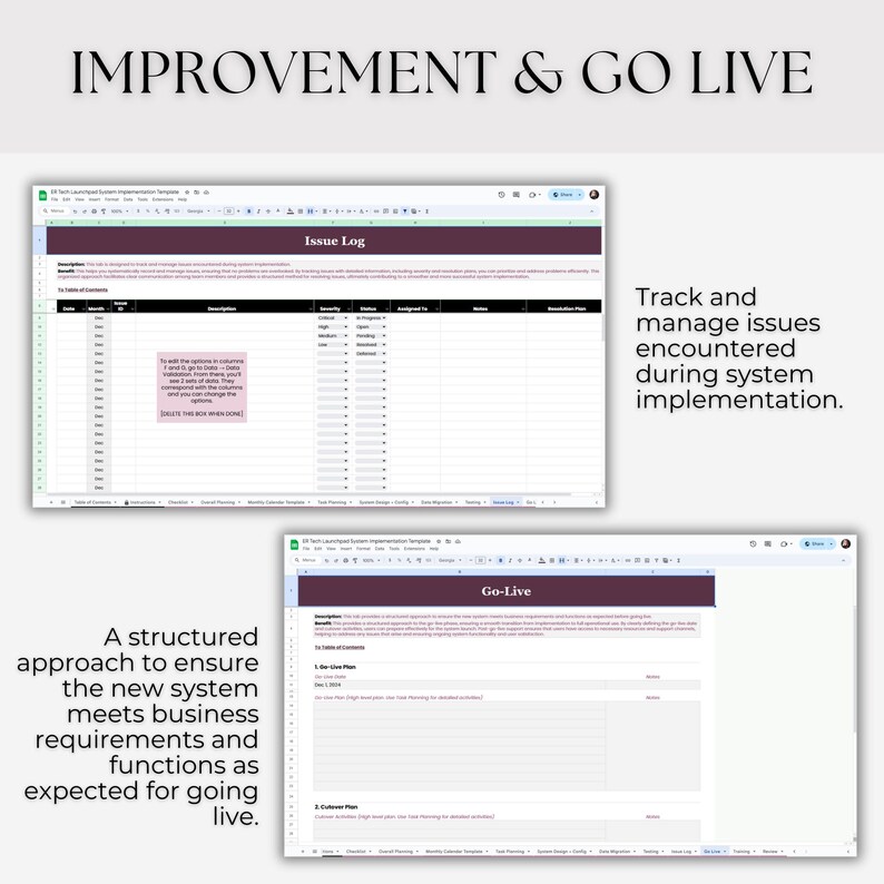 System Implementation Template: Editable Google Sheets (Digital Download) image 10