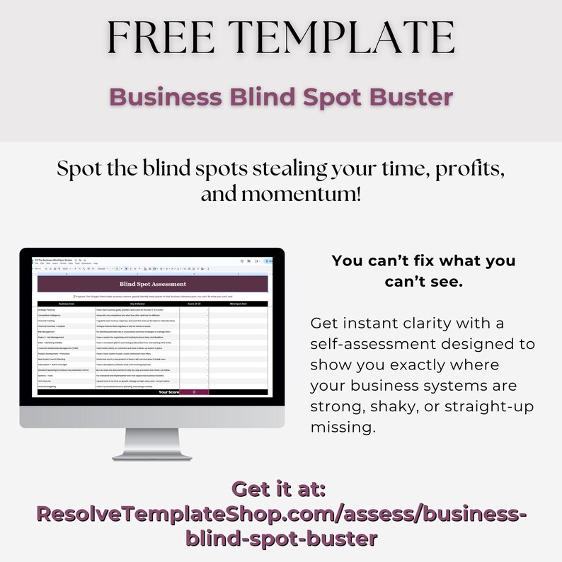 System Implementation Template: Editable Google Sheets (Digital Download) image 16
