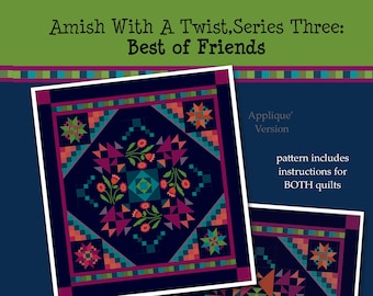 Amish With a Twist III: Best of Friends Sampler Quilt with Applique&#39; and Pieced Center Options to make a 98 x 107&quot; quilt