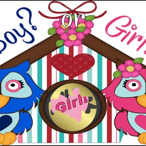 Gender Reveal Party Eulen Baby Shower Rubbellose Spielkarten "Junge oder Mädchen" Set von 20 Karten Visitenkartengröße. Wähle zwischen Junge oder Mädchen