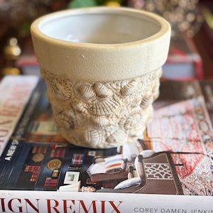 May include: A beige ceramic planter featuring a textured exterior surface covered in a relief pattern of various seashells. The pot has a smooth, wide rim and a cylindrical shape, with a clean, off-white interior finish.