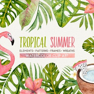 Set 42 Watercolor Tropical Flamingo, Exotic Flowers and Leaves, Summer ...
