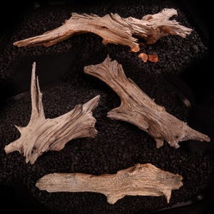 Cedar Trunk Driftwood Sections from the Texas Hill Country | Medium Weathered Juniper Wood for Reptile Habitat, Vivarium, Aquarium & Decor