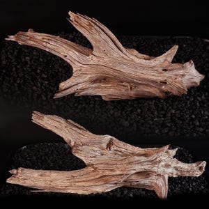 Larger Cedar Trunk Driftwood Sections from the Texas Hill Country | Weathered Juniper Wood for Reptile Habitat, Paludarium & Vivarium Decor