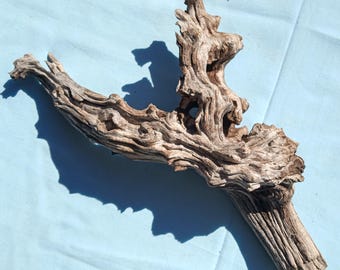 Terrarium Driftwood Decor, Y-Shaped, With Deep Striations for Habitats, Art Projects or Display