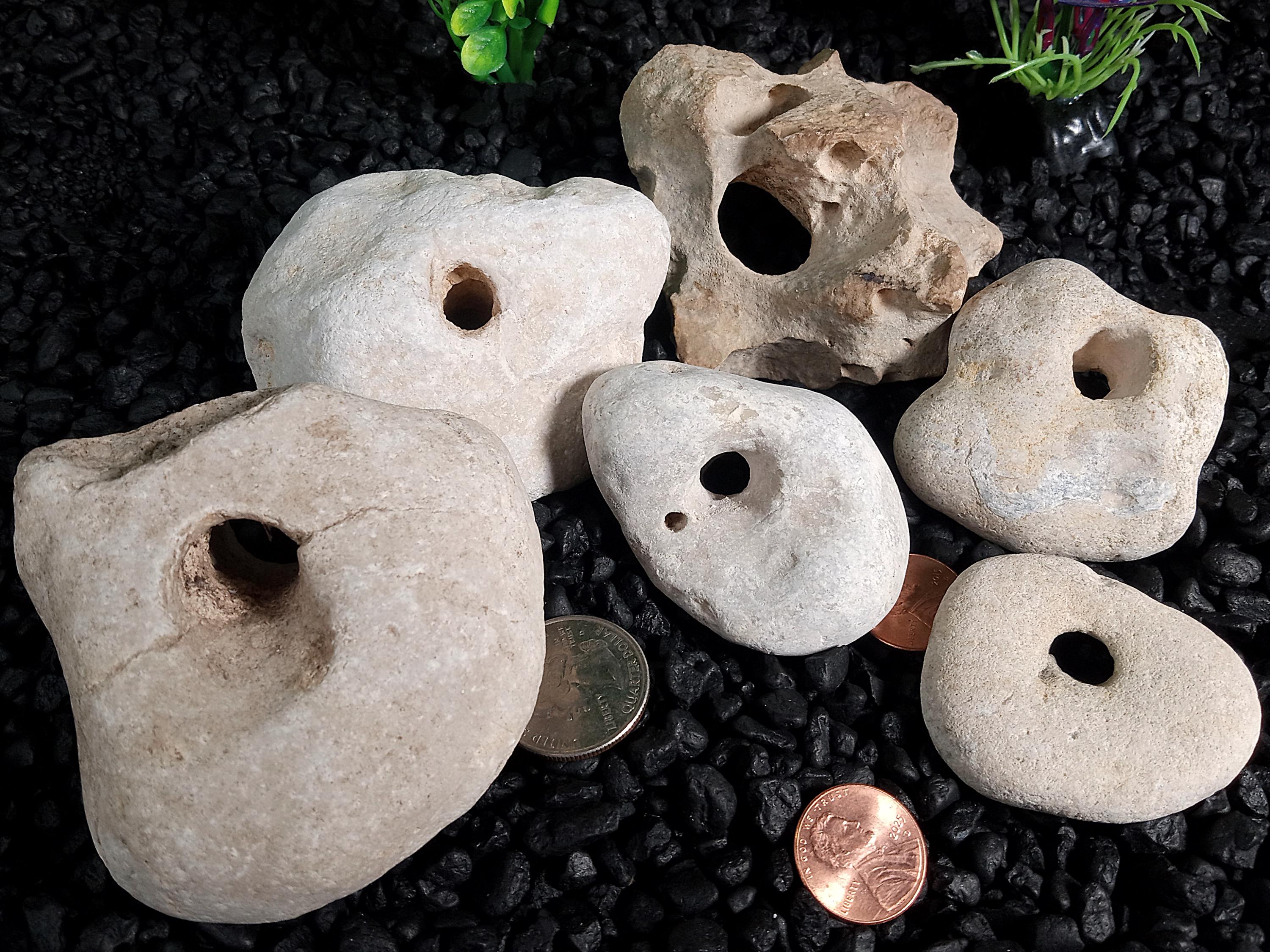 Small Holey Rocks With Holes for Anchoring Aquarium Plants, Air Plant ...