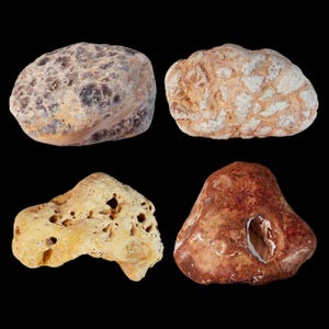 May include: Four natural stones of varying shapes and textures against a black background. The stones display a range of colors, including tan, brown, and reddish-brown. Some stones have a porous appearance, while others have a smoother surface.