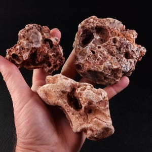 May include: Three irregularly shaped, porous rocks in shades of brown and tan are held in a hand against a black background. The rocks have a rough, textured surface with numerous holes and crevices, suggesting a natural, weathered appearance. The rocks vary in size and shape.
