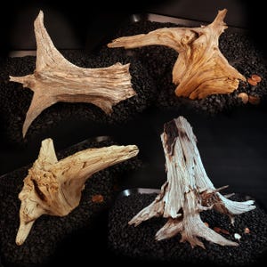 May include: Four distinct pieces of weathered driftwood with complex, gnarled textures and light tan to bleached white coloration. Each piece features unique organic shapes, sharp points, and deep grooves, showcasing the natural erosion of wood.