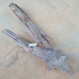 May include: Weathered driftwood piece with a natural, textured appearance. The wood is a mix of gray and brown tones, with visible grain and knots. A small tag with the number "1076" is attached with yellow string. The driftwood has a unique, organic shape.