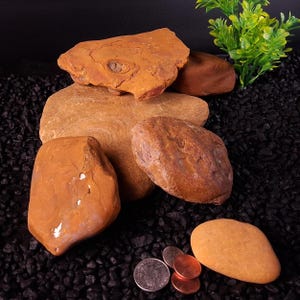 May include: A collection of various-sized, naturally-shaped rocks in shades of brown and tan. The rocks are arranged on a bed of small, black pebbles. A few coins are also present, including a quarter and several pennies. A small green plant is in the background.