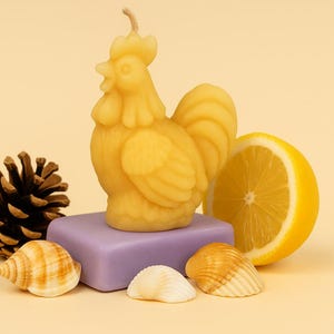 Bougie en cire d&#39;abeille Hen Local Honey Man Pure Natural Eco Friendly Candle - Hexagon - directement de l&#39;apiculteur