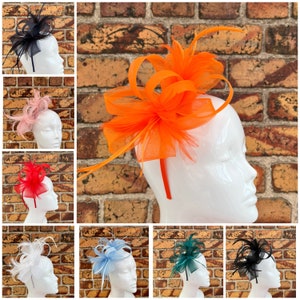 May include: A set of ten headbands with different coloured feathers and tulle. The headbands are all black and are shown on a white mannequin head.