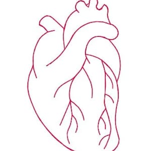 Human Heart, Anatomical Heart, Embroidery Design