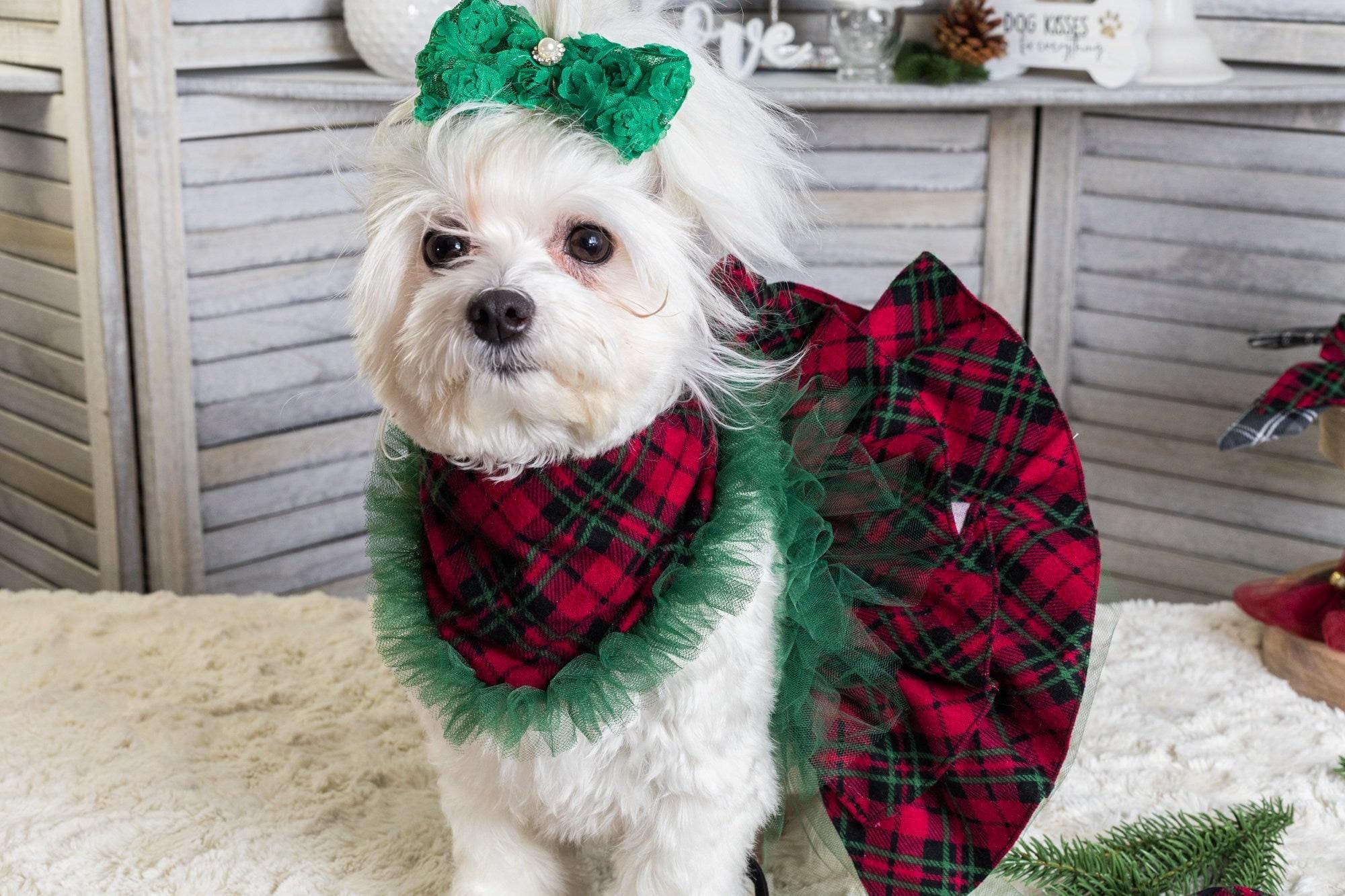 green velvet dog dress Mini Green Velvet Dress – Goddess Exclusive