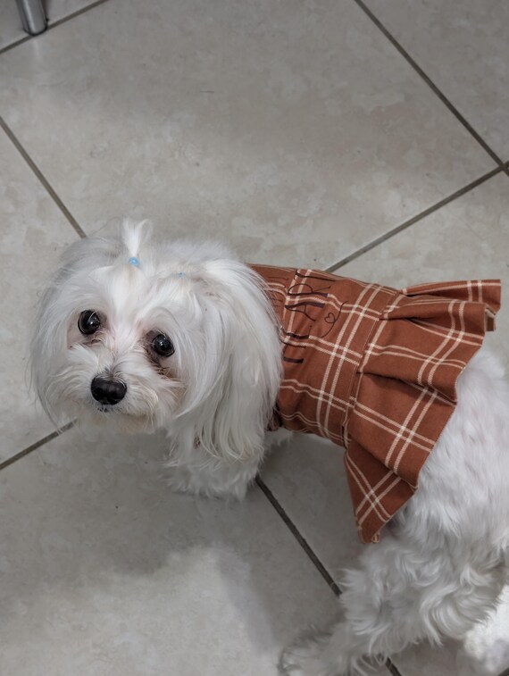 green emerald velvet dress CHILLY DOG | Tartan Plaid Dog Coat main image 0