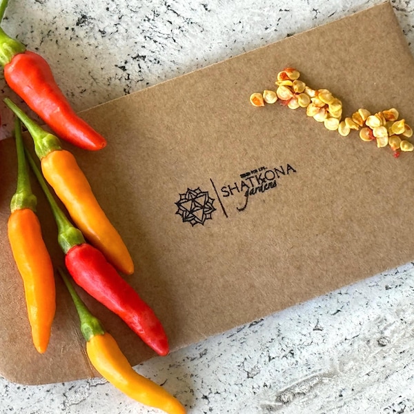 20 Florida Grove Pepper Seeds | Super Hot Wild Firecracker Variety | Perennial Pepper Plant | Florida-Grown 2025 Harvest