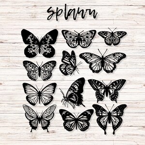 May include: A collection of twelve black butterfly silhouettes with intricate wing patterns arranged in a grid. The word splawn is written in a black cursive script at the top center. Each butterfly features unique, detailed line work.