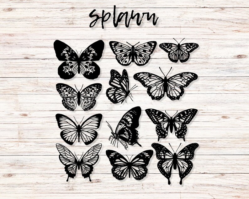 May include: A collection of twelve black butterfly silhouettes with intricate wing patterns arranged in a grid. The word splawn is written in a black cursive script at the top center. Each butterfly features unique, detailed line work.