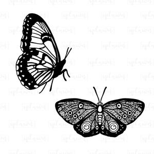 Butterfly Outline PNG Clipart, Stencil Design (Digital Download) image 4