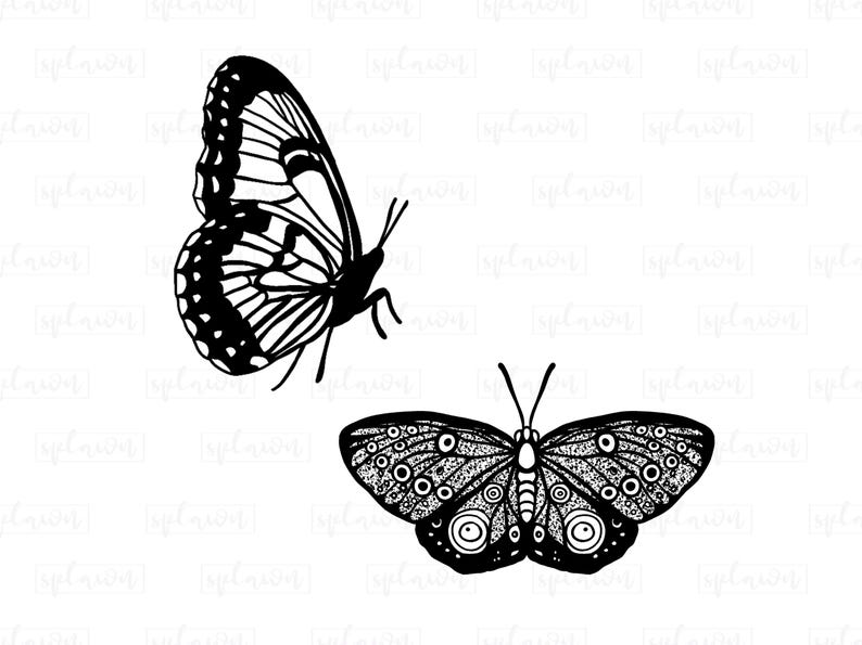 Butterfly Outline PNG Clipart, Stencil Design (Digital Download) image 4