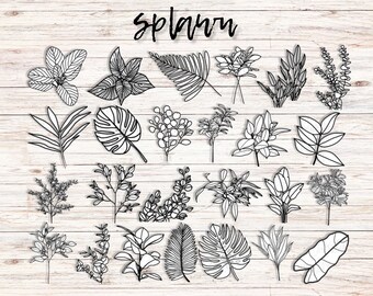 31 Hand Drawn Botanical Procreate Brushes, Leaf and Flower Stamps