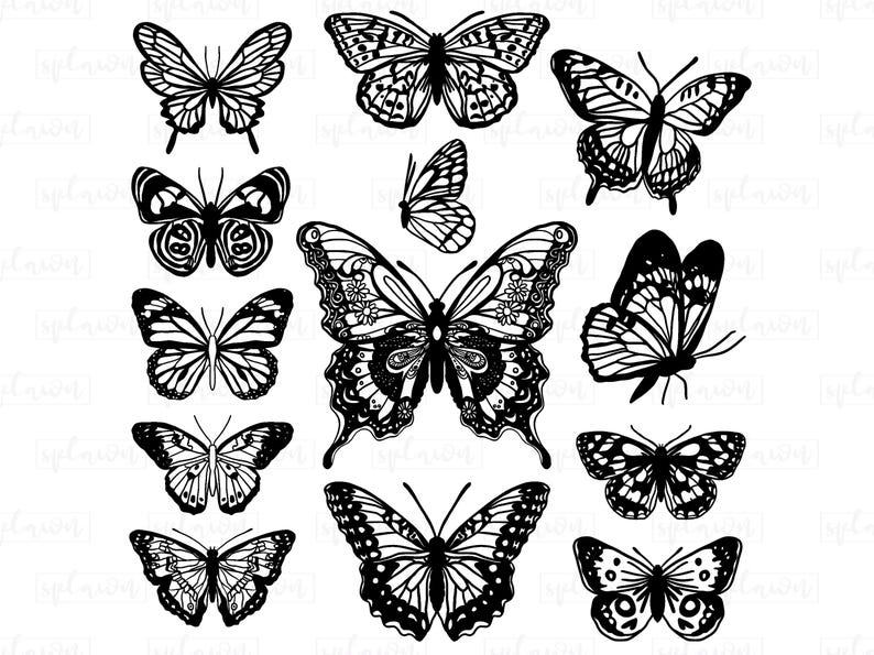 Butterfly Outline PNG Clipart, Stencil Design (Digital Download) image 2