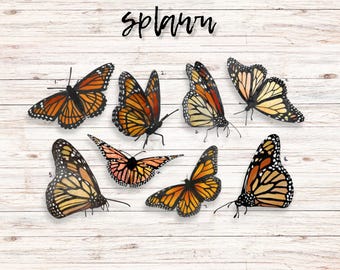 Hand-Painted Butterfly Clipart, Transparent Background (PNG)