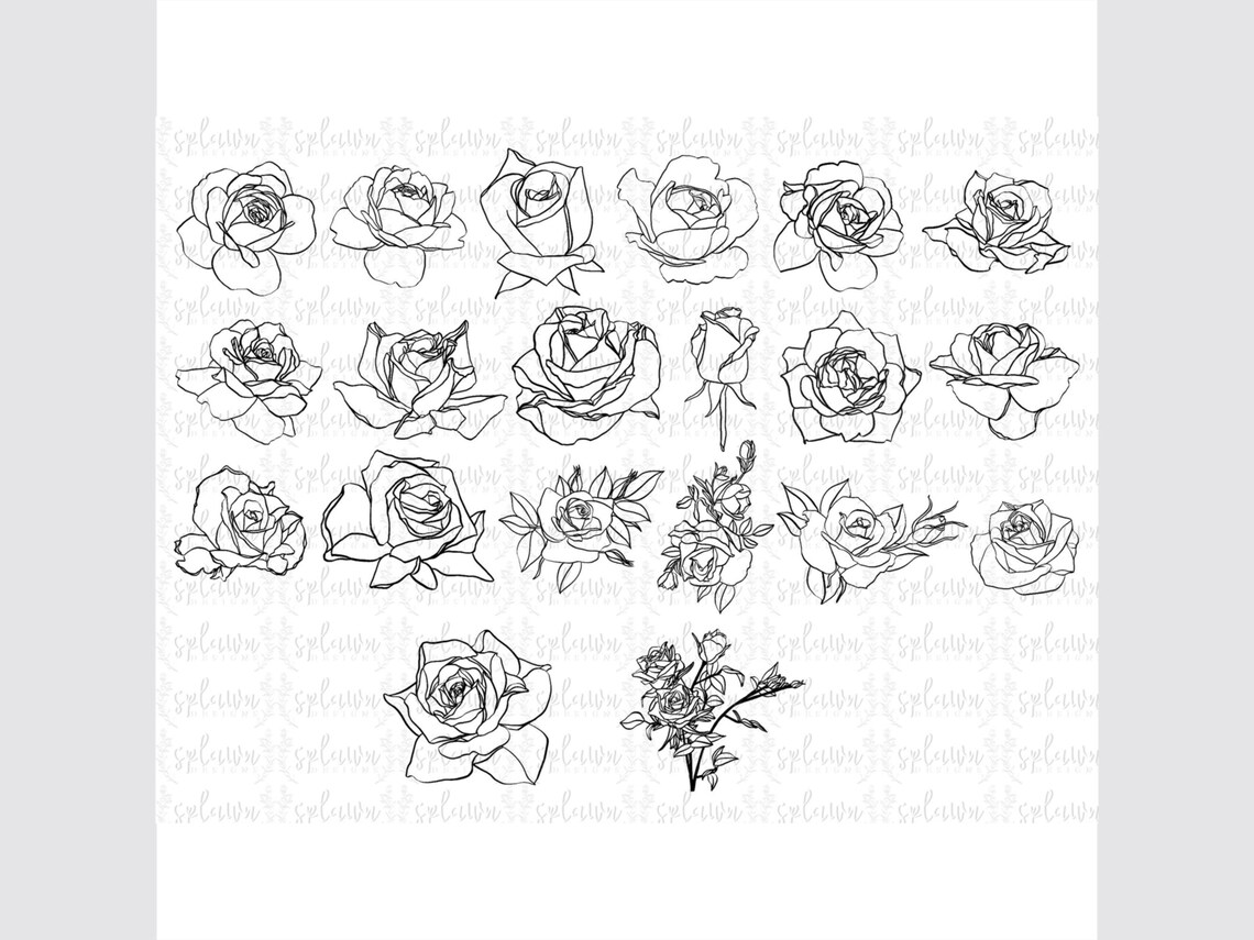 44 Rose Procreate Brushes, Hand Drawn, Flowers, Roses, Commercial Use ...