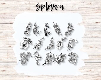Cherry Blossom Procreate Brushes, Hand-Drawn Floral Stamps