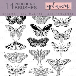 Hand drawn moth Procreate brushes,procreate stencil,procreate brush set,tattoo stencils,digital,procreate stamps,brush stamps, moth outlines