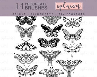 Hand drawn moth Procreate brushes,procreate stencil,procreate brush set,tattoo stencils,digital,procreate stamps,brush stamps, moth outlines