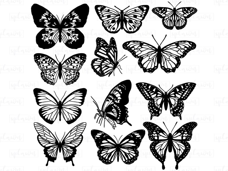 May include: A collection of twelve distinct black and white butterfly illustrations arranged in a grid. Each butterfly features unique wing patterns, including solid black sections, intricate veins, and spotted borders, presented as high-contrast graphics.