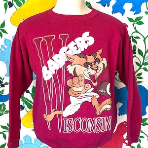 May include: A maroon long-sleeved sweatshirt with a cartoon badger wearing a football uniform and holding a football. The text "BADGERS" is written above the badger and "WISCONSIN" is written below the badger.
