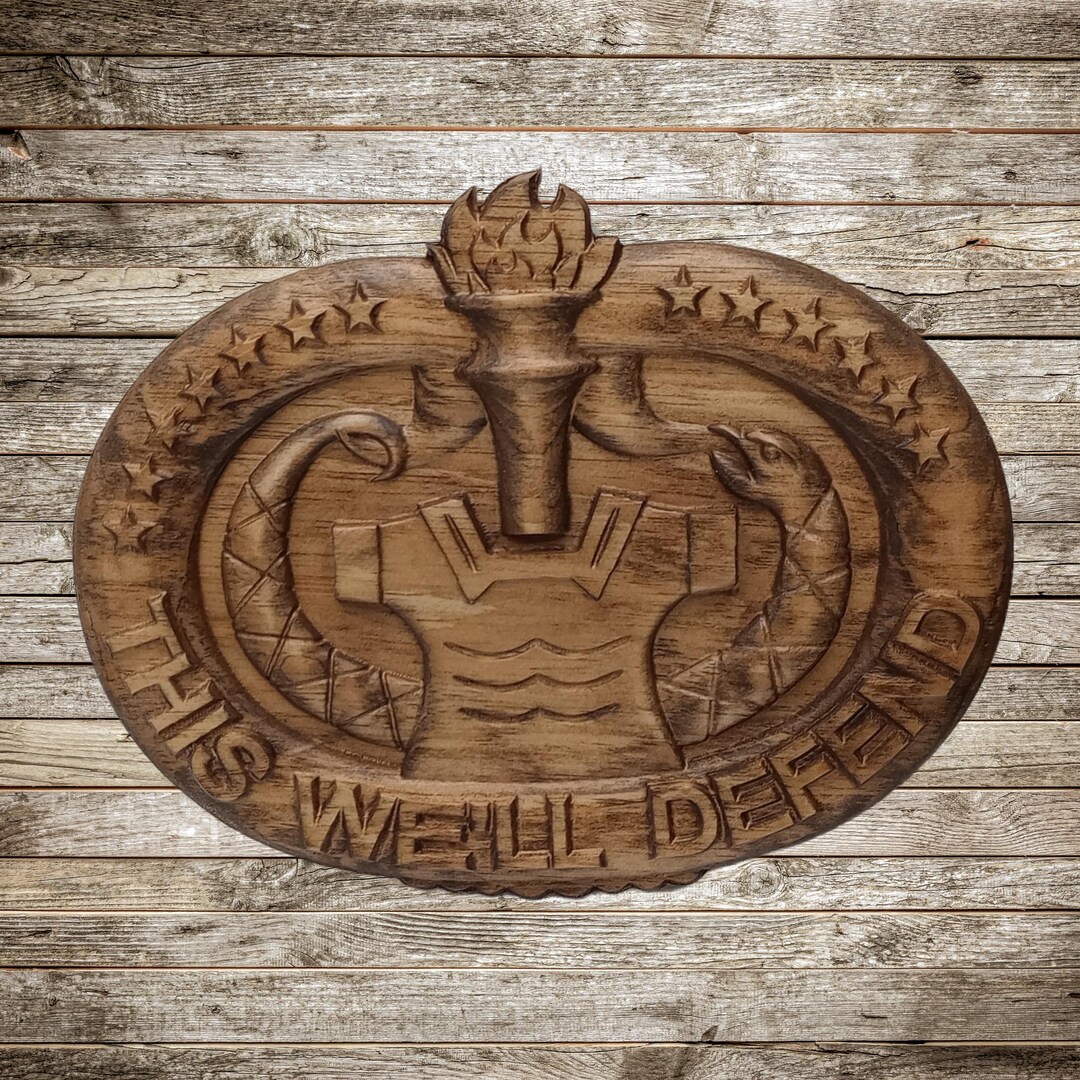 3D Carved US Army Drill Sergeant Plaque: Wooden Military Gift - Etsy
