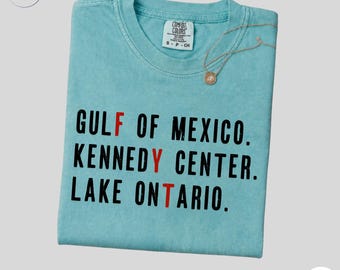 FDT Shirt, Lake Ontario Kennedy Center Protest Tee, Quiet Activism Funny Protest Tee, Pro-Democracy Activism Gift, Subtle FDT Shirt