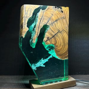 Hammerhead Shark Epoxy Resin Lamp, Decorative Night Lamp,Handcrafted Lamp