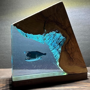 Epoxy Resin Lamp with Angler Fish, Night Lamp, Table Lamp