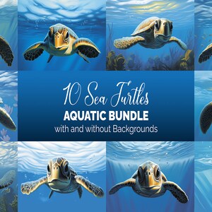 10 Sea Turtle Illustrations, Turtle Clipart, Sublimation, High Quality, Ocean Animals, Nautical Clipart, PNG, Aquatic Bundle, HD, Commercial