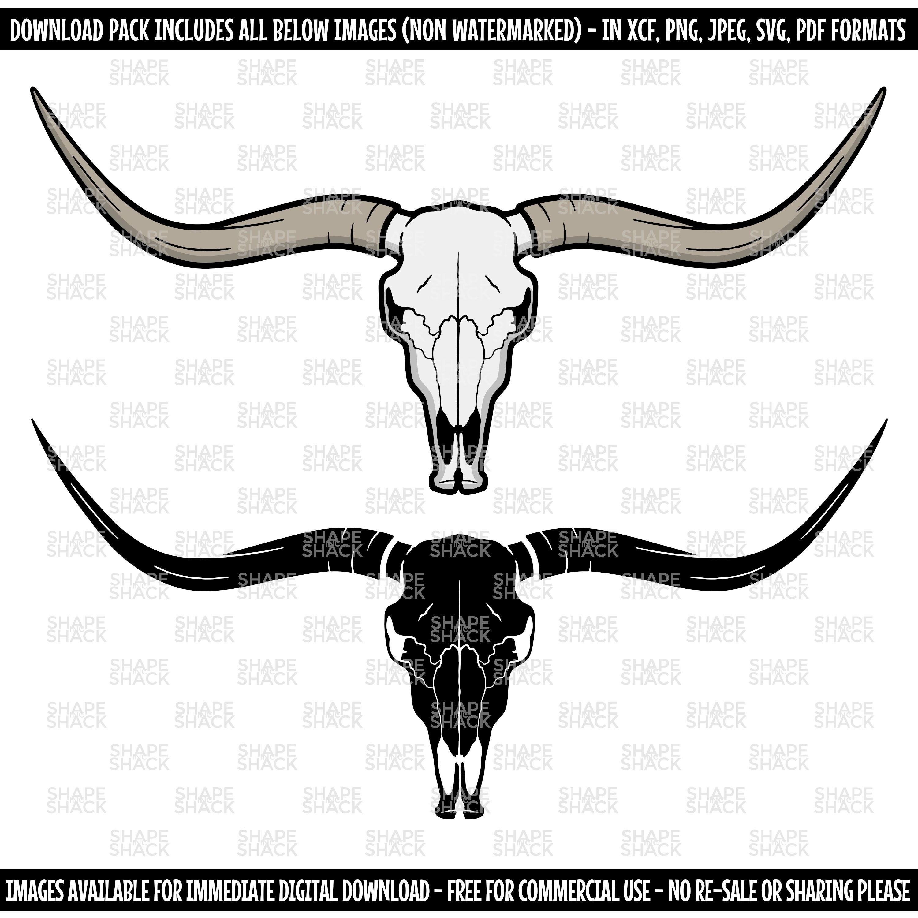Longhorn Skull Cow Head Bull Cattle Skeleton Horns Clipart Symbol