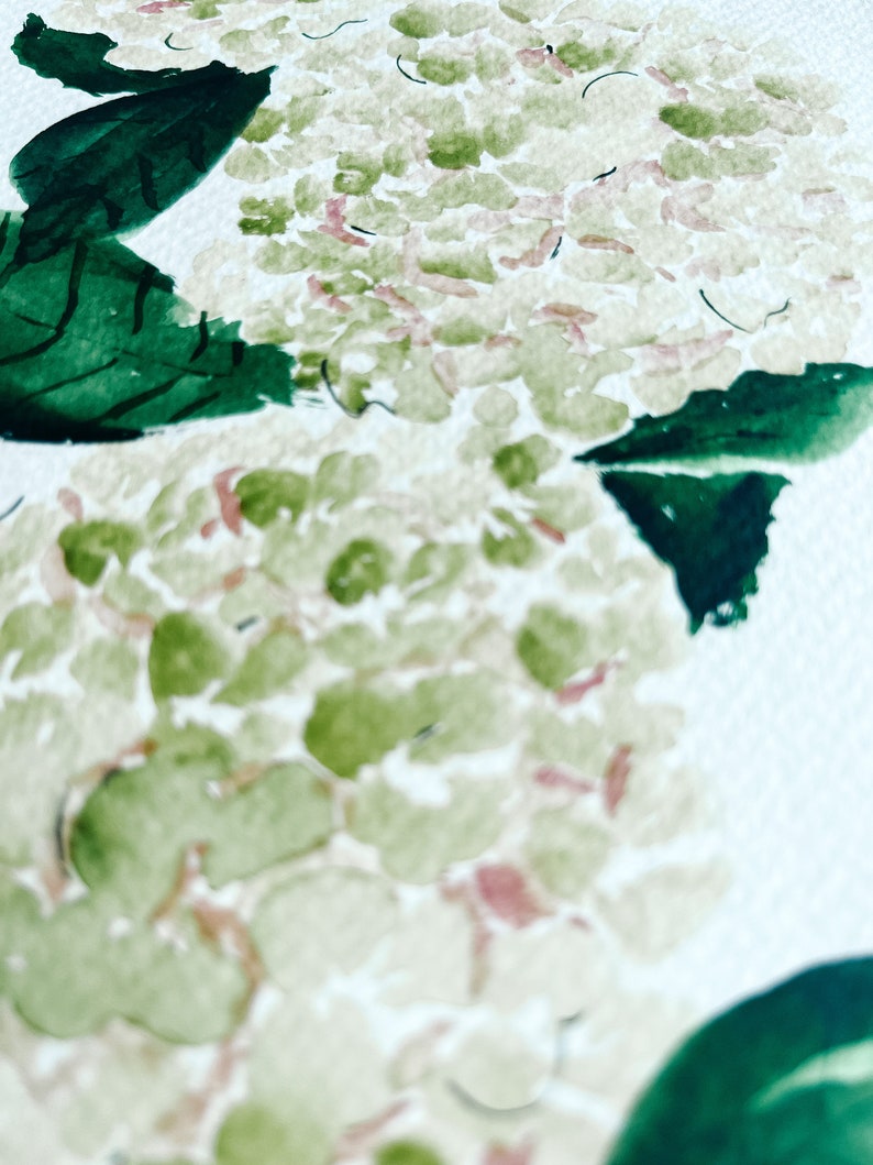 Original Watercolor Hydrangea Painting image 2