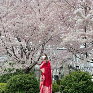 May include: A woman wearing a red and gold saree stands in front of a cherry blossom tree. The tree is in full bloom and the flowers are a soft pink color. The woman is holding a small red purse.