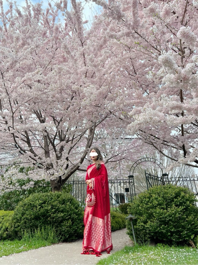 May include: A woman wearing a red and gold saree stands in front of a cherry blossom tree. The tree is in full bloom and the flowers are a soft pink color. The woman is holding a small red purse.