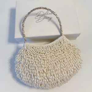 May include: Cream-coloured beaded handbag with a silver handle. The bag is covered in small, pearlescent beads, creating a textured surface. The handle is a curved, silver-toned metal. A white box with the text "Delicate Diary" is in the background.