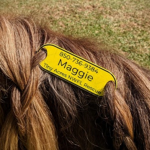 Horse Emergency Information Tag - ICE Information Designed for Equestrians