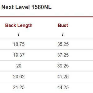 May include: A size chart for Next Level 1580NL apparel, displaying measurements in inches. Sizes range from XS to XL, with back length, bust, and sleeve length measurements provided for each size. The chart is in a table format.
