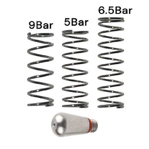 Gaggia Classic PRO And EVO OPV Springs Set And One Hole Steam Tip