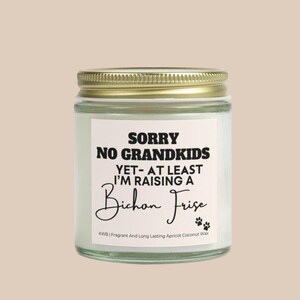 No Grandkids Raising A Bichon Frise l Dog Breed Candle, Family Dog Mother&#39;s Day Candle, Gift For Mom, Funny Gift From Daughter In Law
