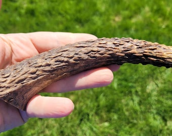 Gestabiliseerd elandgewei met verborgen tang handgreepblok | Natuurlijk materiaal van het handvat van hertengewei voor het maken van ambachtelijke benodigdheden