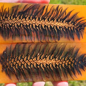 Pinecone Messerschalen Transparent Orange Kunstharz Fichtenzapfen Messergriffschalen Stabilisiertes Hybridmessermaterial